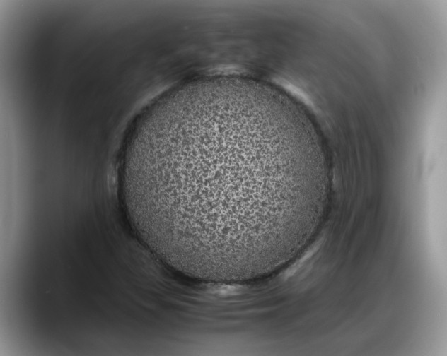 X0000088231309200705292126