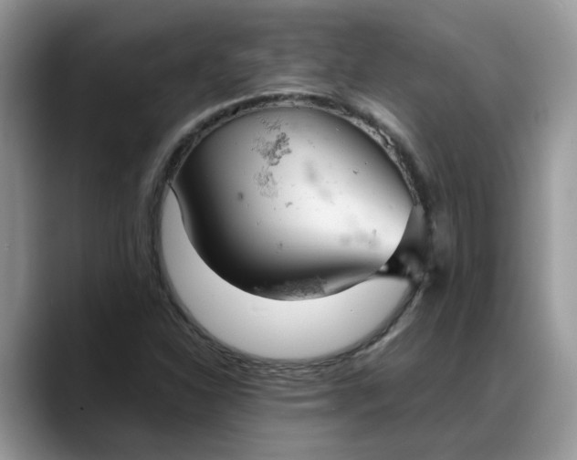 X0000088231310200705292126