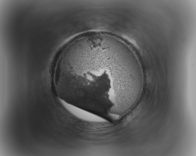 X0000088231311200705292126