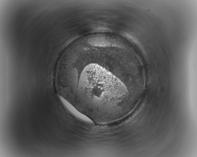 X0000088231313200705292126