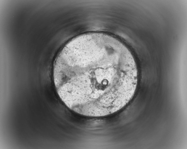 X0000088231314200705292126