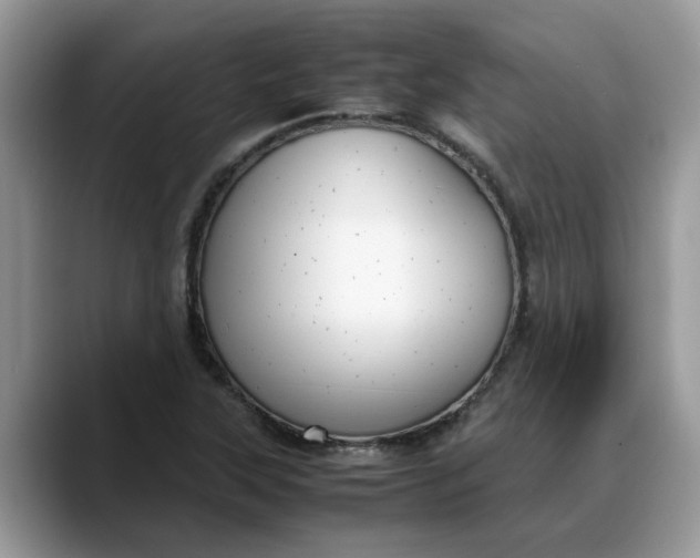 X0000088231315200705292126