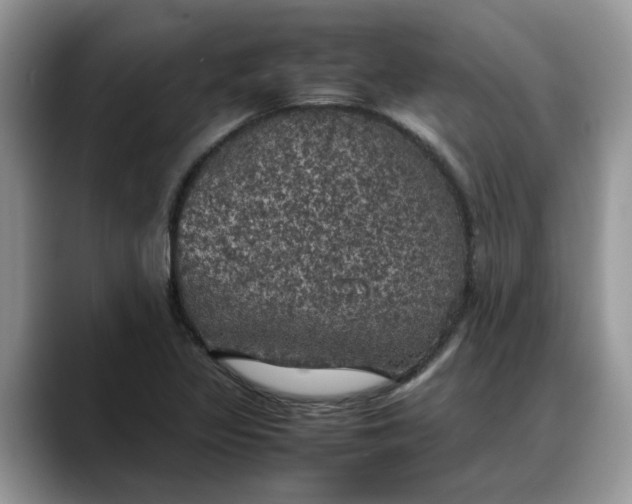 X0000088231317200705292126