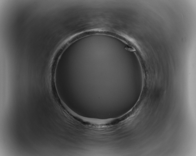 X0000088231319200705292126