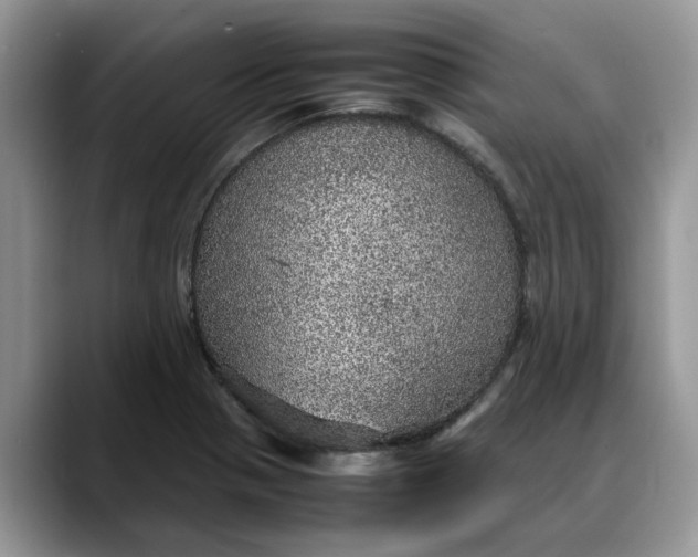 X0000088231321200705292126