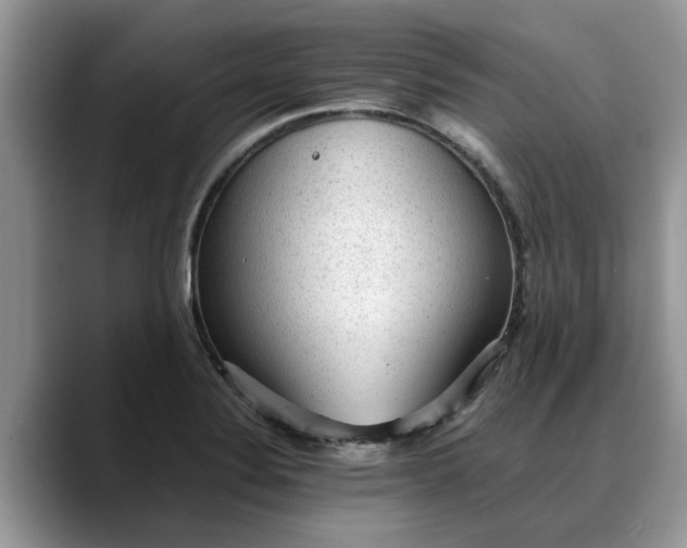 X0000088231324200705292126