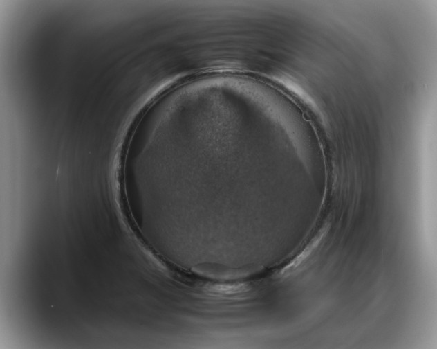 X0000088231325200705292126