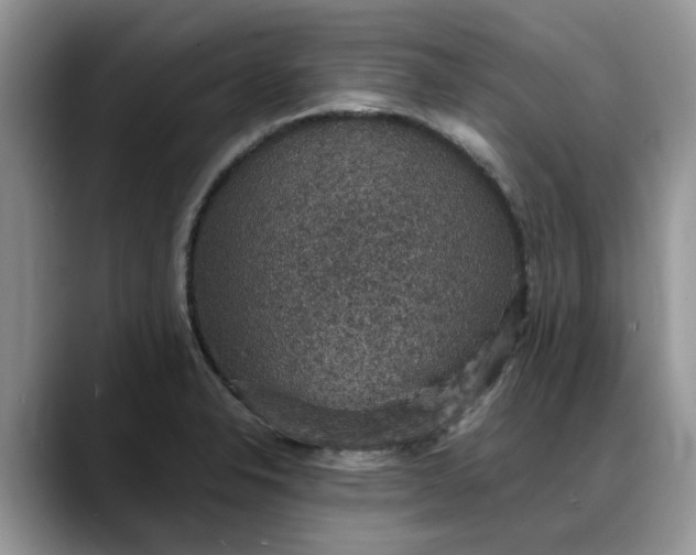 X0000088231326200705292126