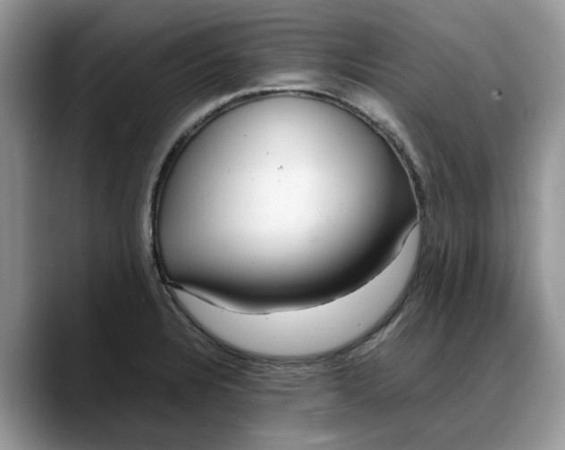 X0000088231328200705292126