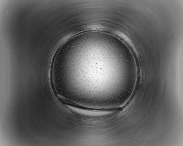 X0000088231330200705292126