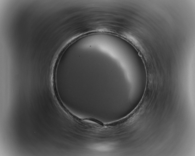 X0000088231331200705292126