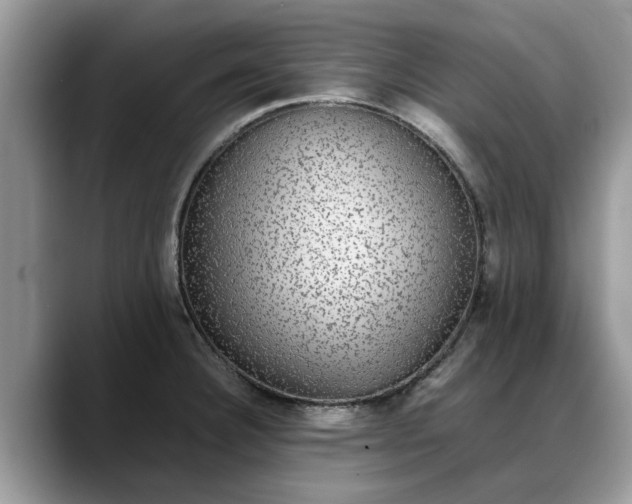 X0000088231332200705292126
