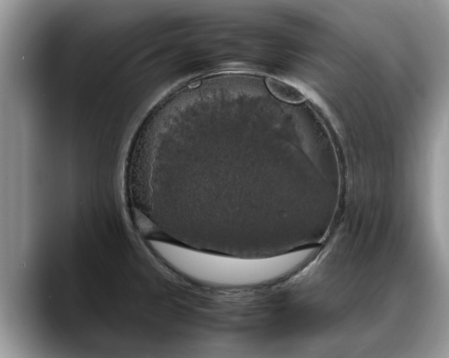 X0000088231333200705292126