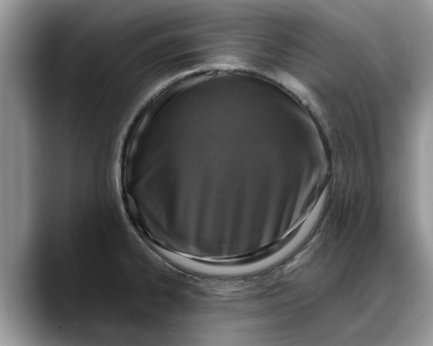 X0000088231334200705292126