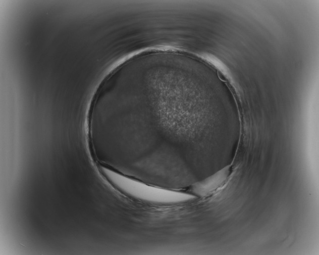 X0000088231335200705292126