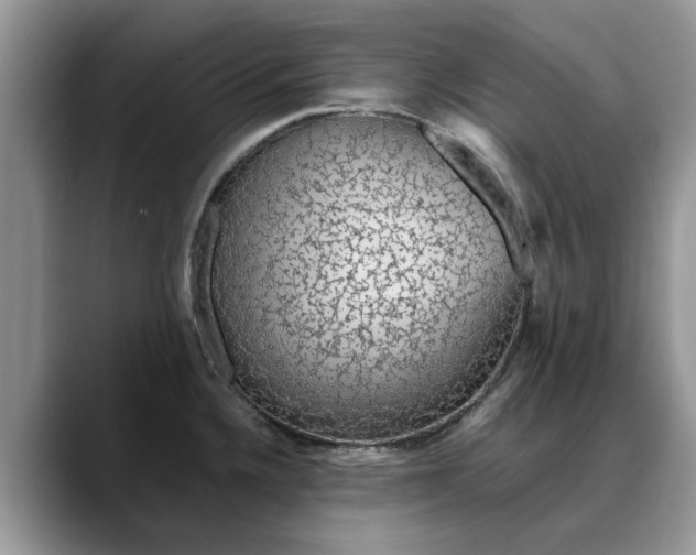 X0000088231336200705292126