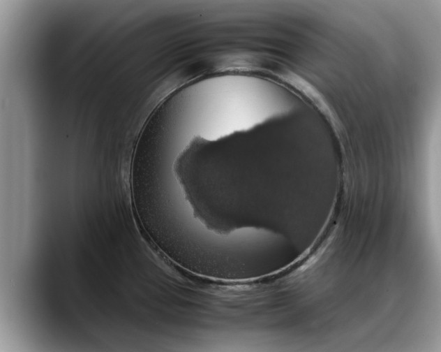 X0000088231337200705292126