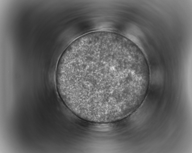 X0000088231338200705292126
