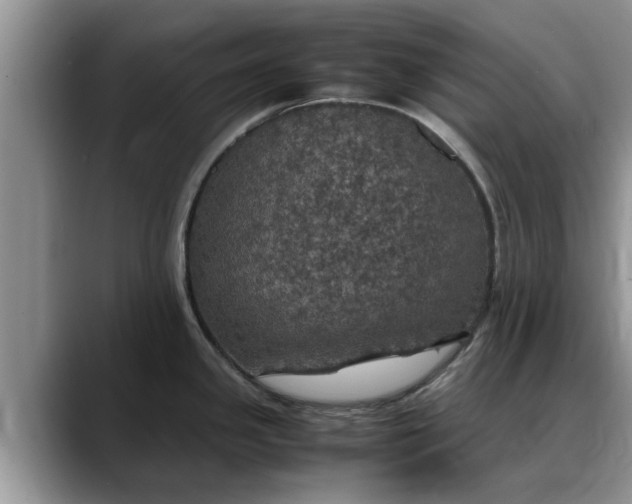 X0000088231341200705292126