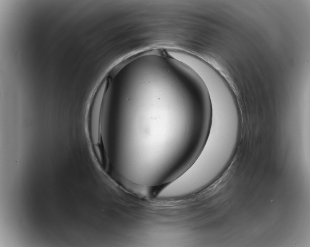 X0000088231342200705292126