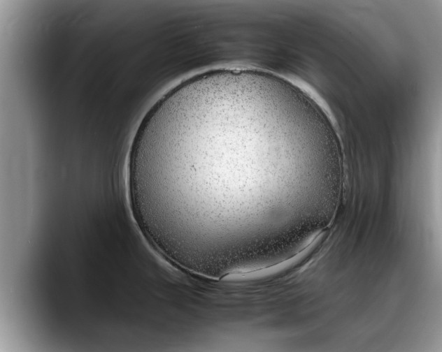 X0000088231343200705292126