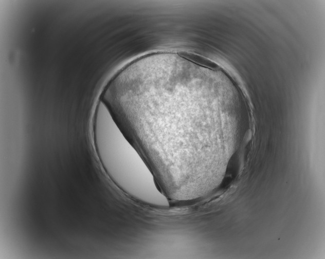 X0000088231344200705292126