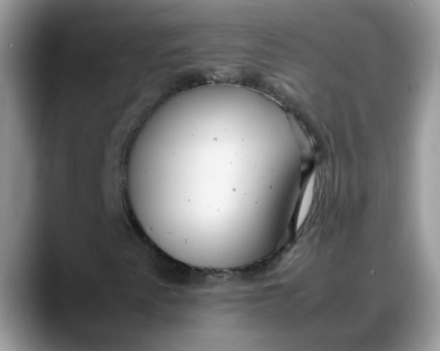 X0000088231345200705292126