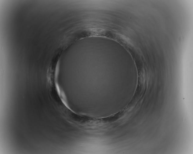 X0000088231346200705292126