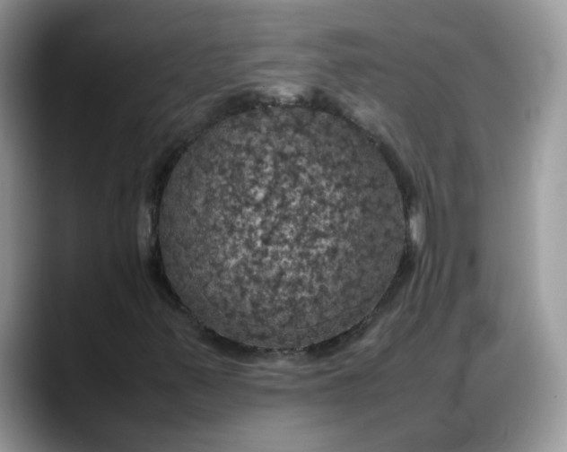 X0000088231347200705292126