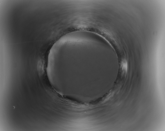 X0000088231348200705292126