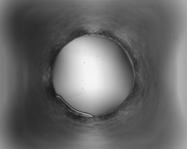 X0000088231349200705292126