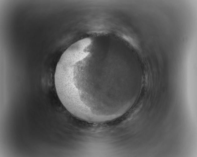 X0000088231350200705292125