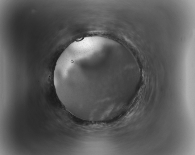 X0000088231351200705292125