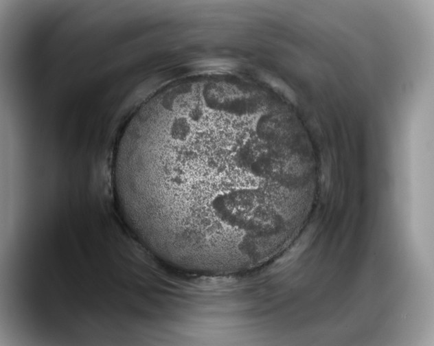 X0000088231354200705292125