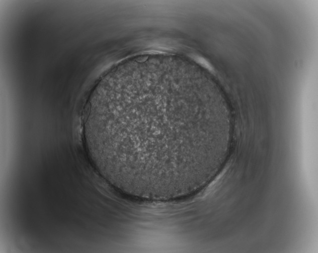 X0000088231355200705292125