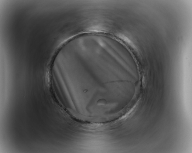 X0000088231358200705292125