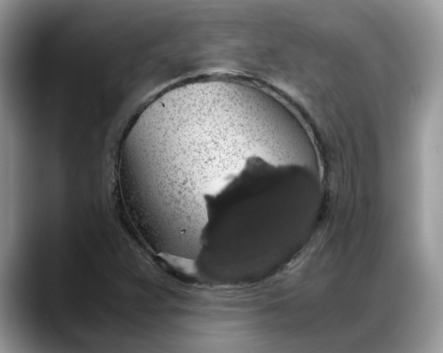 X0000088231359200705292125