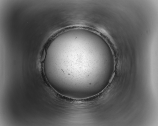 X0000088231360200705292125