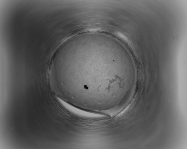 X0000088231361200705292125