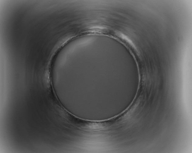 X0000088231362200705292125
