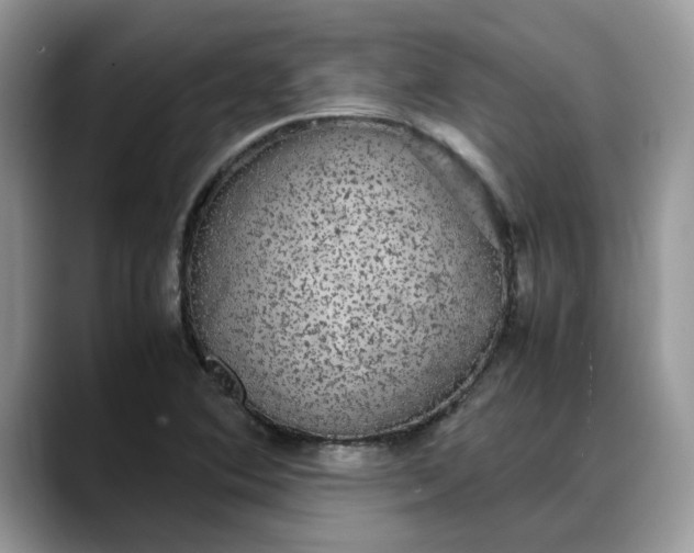 X0000088231364200705292125