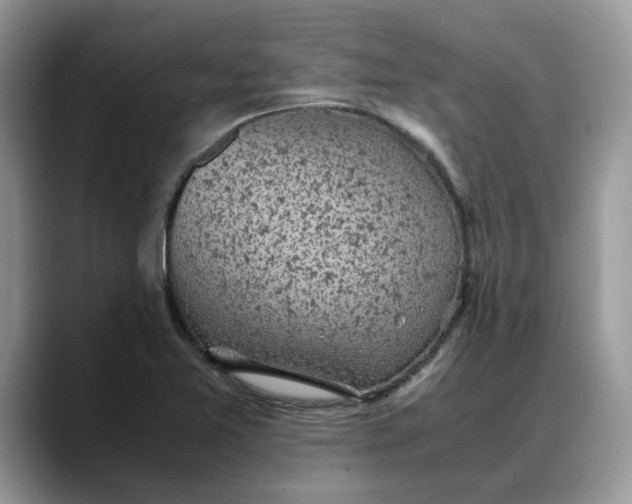 X0000088231365200705292125