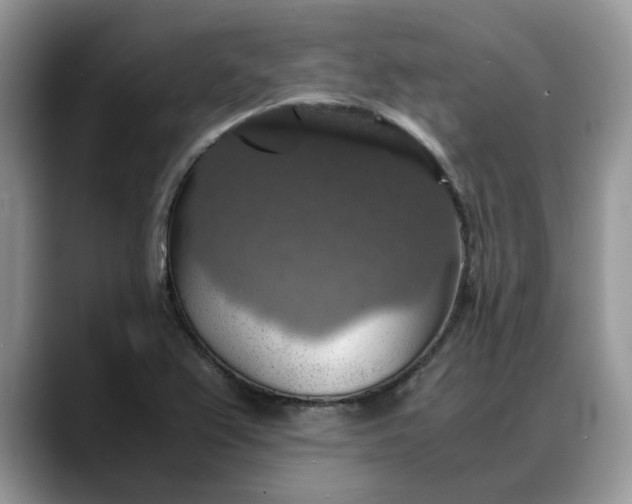 X0000088231367200705292125