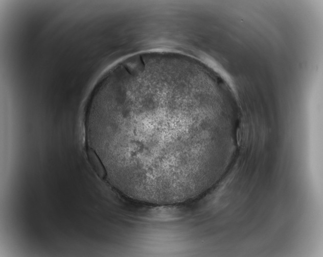 X0000088231368200705292125