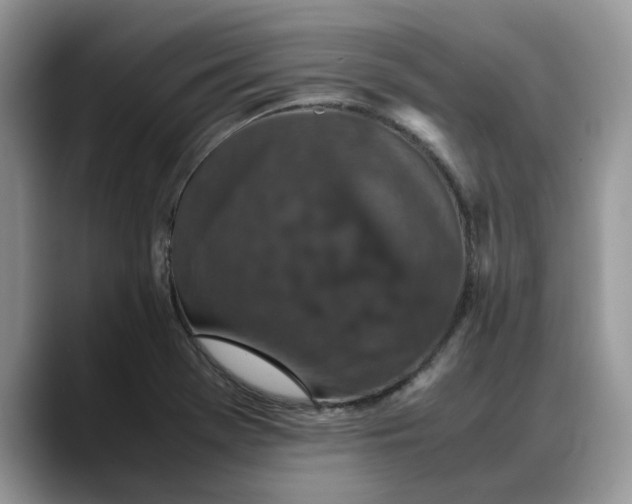 X0000088231369200705292125