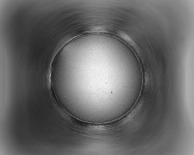 X0000088231370200705292125
