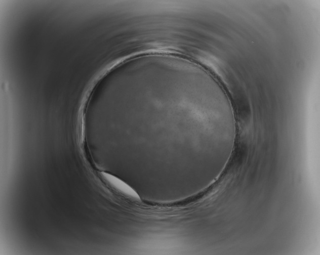 X0000088231371200705292125