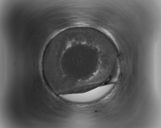 X0000088231373200705292125