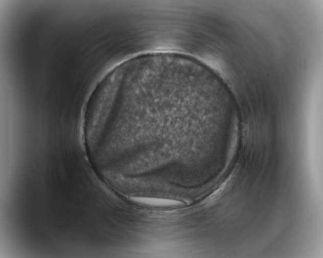 X0000088231374200705292125