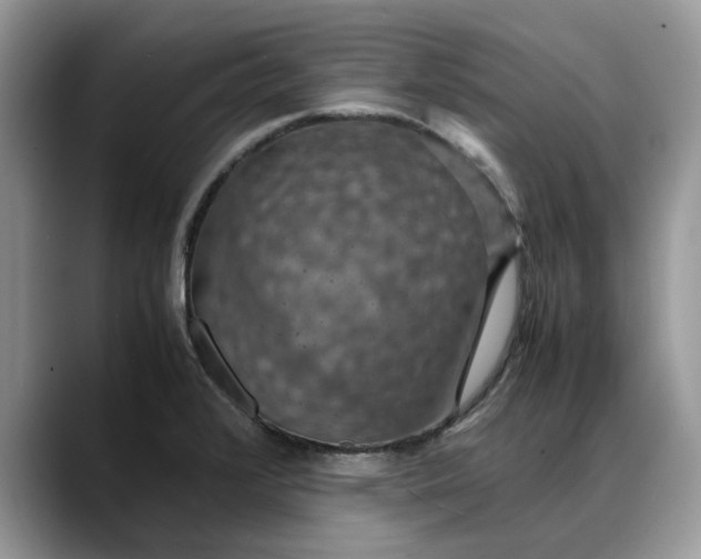 X0000088231376200705292125